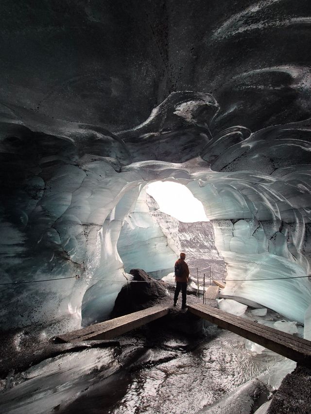 アイスランドのパフィン